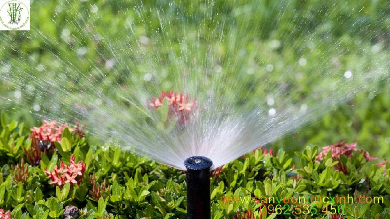 Nhà thông minh bình dương điều khiển bơm nước sân vườn 